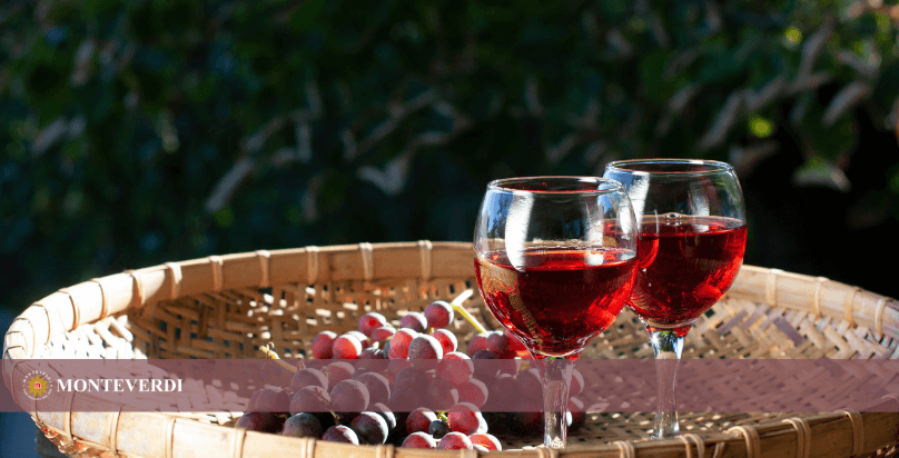 migliori vini piacentini su vassoio con uva